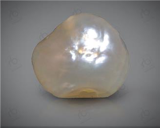 NATURAL PEARL / MOTI (BAS) 1.63 CTS.. ( 0011(9) )